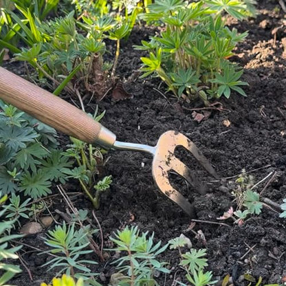 Spear & Jackson Stainless Steel Hand Weed Fork, Durable Gardening Tool for Efficient Weeding and Soil Aeration
