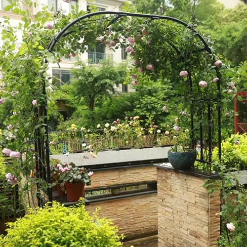 BUKLIYN Garden Arch Trellis - Garden Arch Size Length: 59in Height: 94.5in - color: Length: 59in-Black, size: Arch