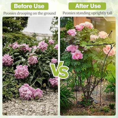 1 Pack Large Peony Cages and Supports, 38" H x 19" D Tall Heavy Duty 5mm Black Metal Garden Stakes for Outdoor & Indoor Plants, Sturdy Rust-Resistant Frame for Peonies Roses Flowers - size: 1 Pack