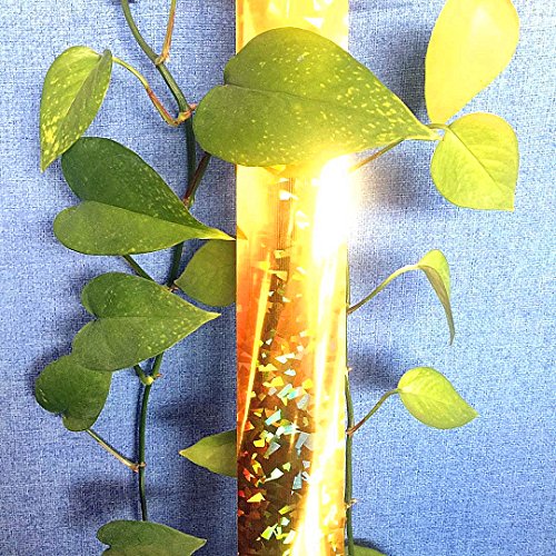 Gold Bird Scaring Reflective Tape, Holographic Ribbon, Ideal for Garden, Patio, Field and Fence - 1'' x 500 Ft (Gold) - color: Gold