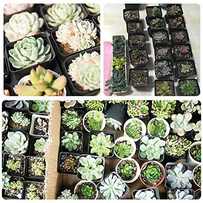 2.7 Inch Square Nursery Pots,50 Pack Sturdy & Reusable Plastic Plant Containers Starter Pot with Drainage Holes for Seedlings,Succulents & Garden Plants,Black - size: 2.7 Inch
