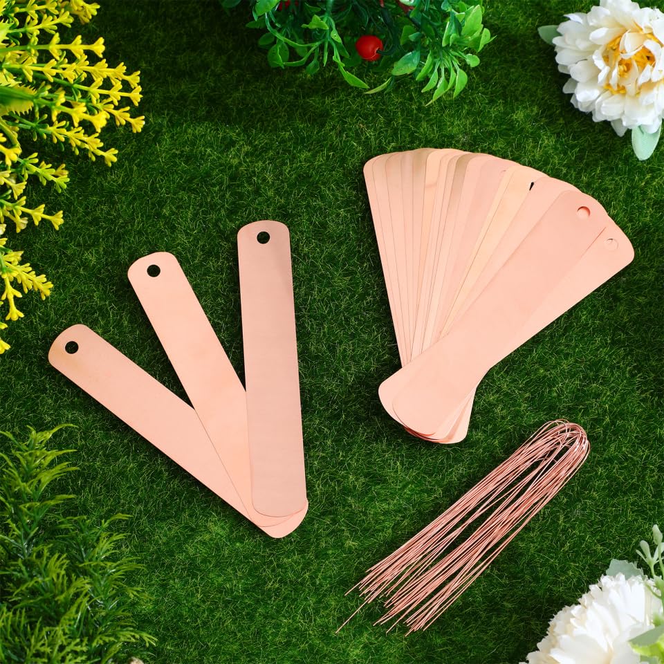 BESTonZON 30 Hanging Metal Garden Labels with 30 Copper Wires, 12 × 2 cm Markers for Pots, Trees and Nursery Plants