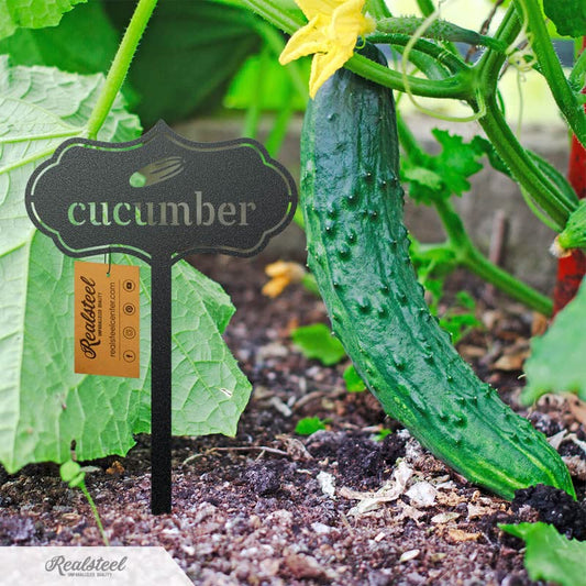 RealSteel Metal Seed & Plant Markers – Elegant Indoor & Outdoor Garden Stakes – Durable Herb, Vegetable & Fruit Plant Labels for Pots, Raised Beds & Greenhouse – Farmhouse Garden Gift - (Eggplant) - style: EGGPLANT