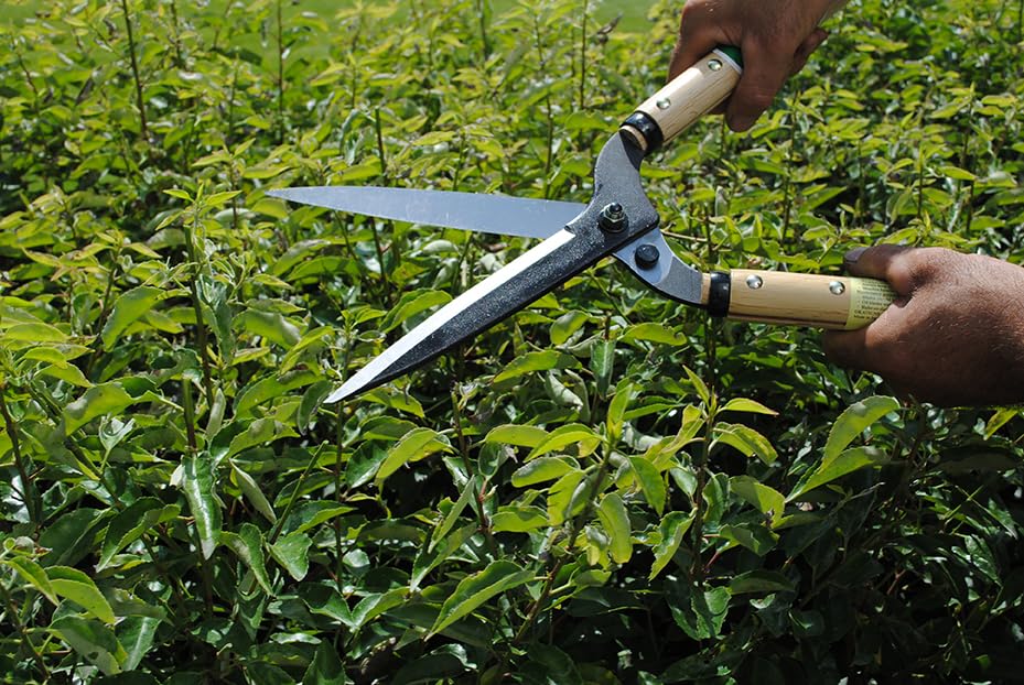 Okatsune Precision Hedge Shears 6" Blade, 20" total length - size: 6"