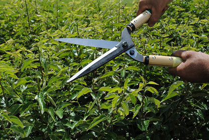 Okatsune Precision Hedge Shears 6" Blade, 20" total length - size: 6"