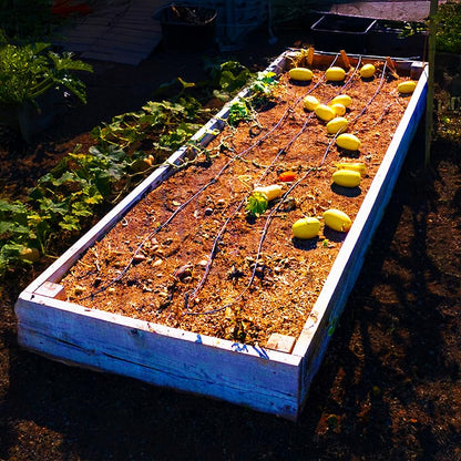 Drip Depot Drip Irrigation Kit for Raised Bed Gardening - Basic - 2 Raised Beds - size: Basic - 2 Raised Beds