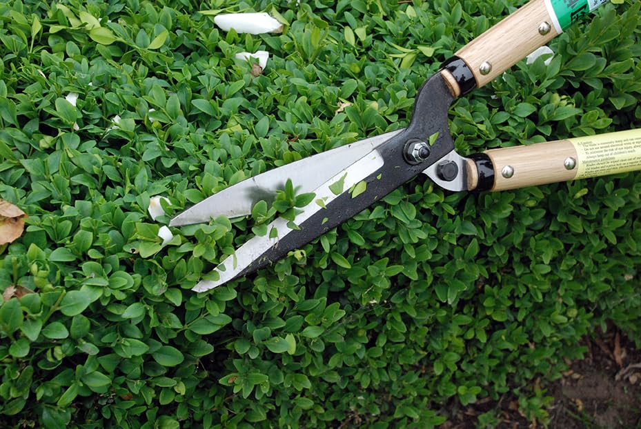 Okatsune Precision Hedge Shears 6" Blade, 20" total length - size: 6"