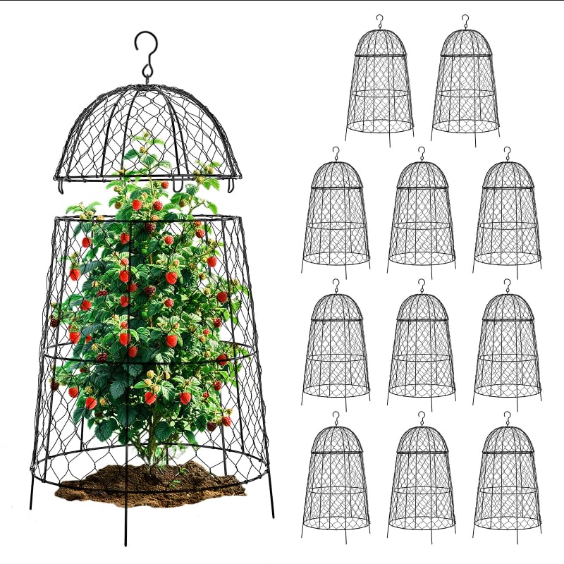12Pcs garden cloche for plants,20×12.6in large size plant cages for outdoor plants,split design and anti-rust coated chicken wire cloche,sturdy and not easy to deform,plant cages to keep animals out - size: Set of 12 (20 inch high)