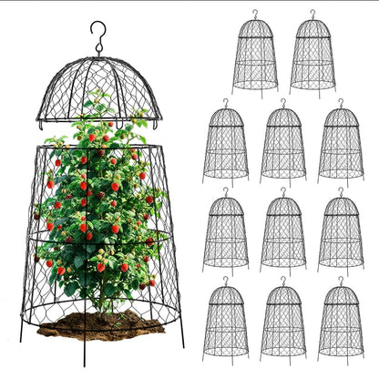 12Pcs garden cloche for plants,20×12.6in large size plant cages for outdoor plants,split design and anti-rust coated chicken wire cloche,sturdy and not easy to deform,plant cages to keep animals out - size: Set of 12 (20 inch high)